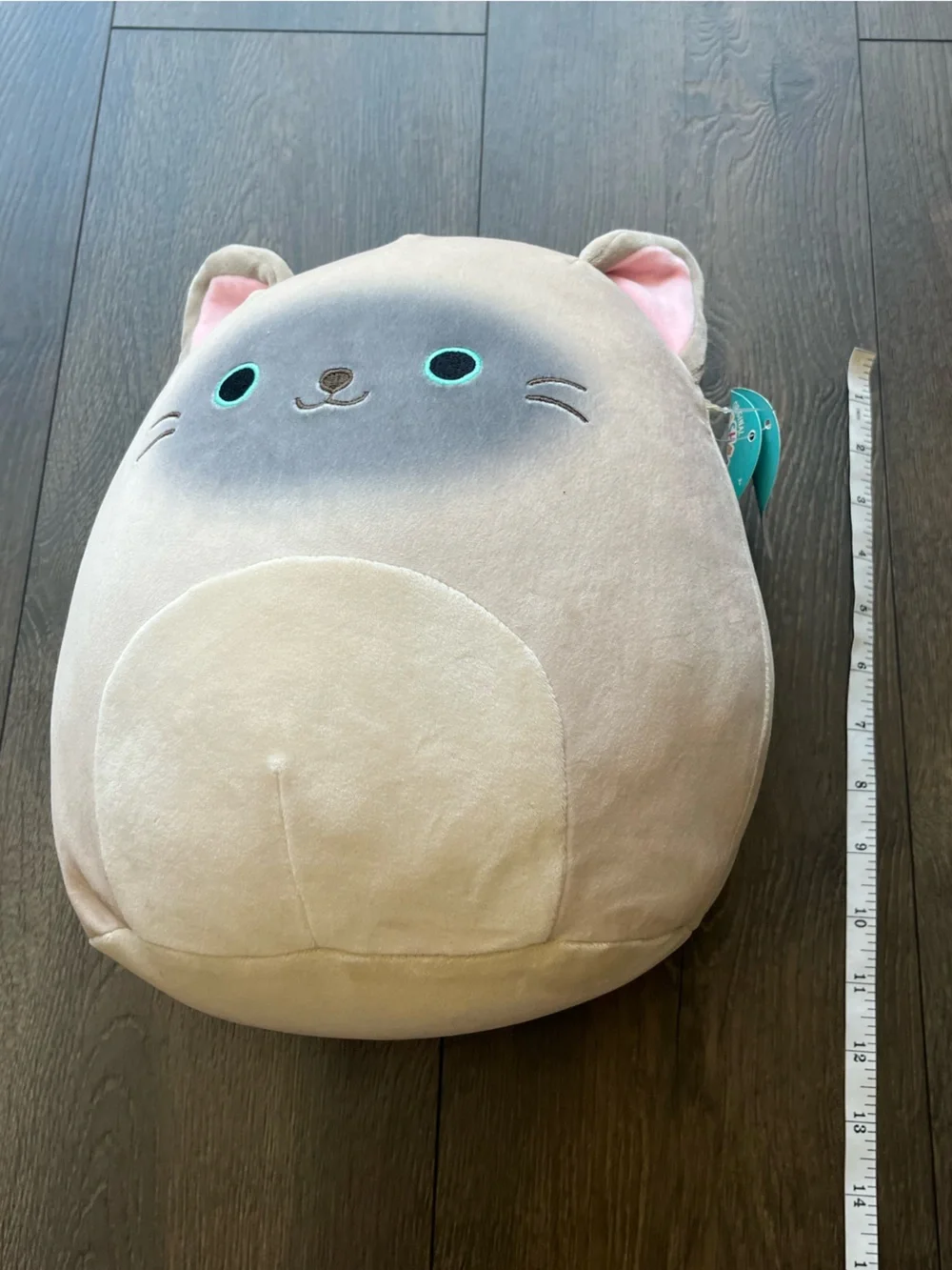 Squishmallows Cat Plush Stuffed Animal